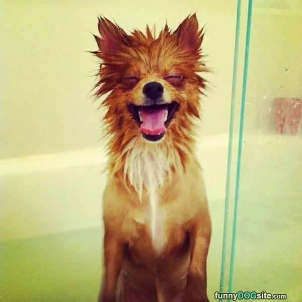 Waaaahahaha