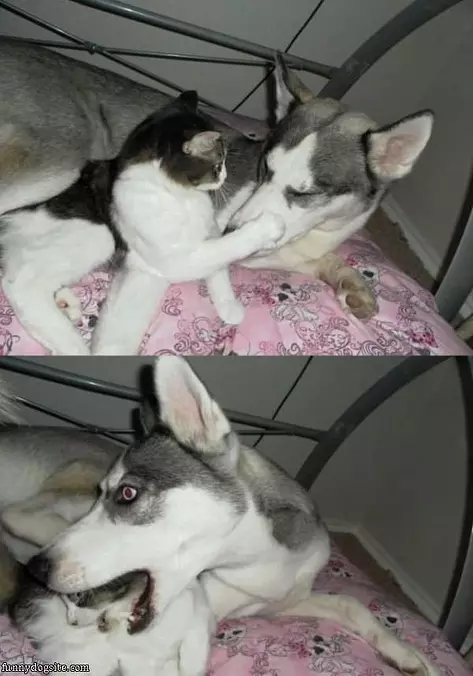 Hey Stop It