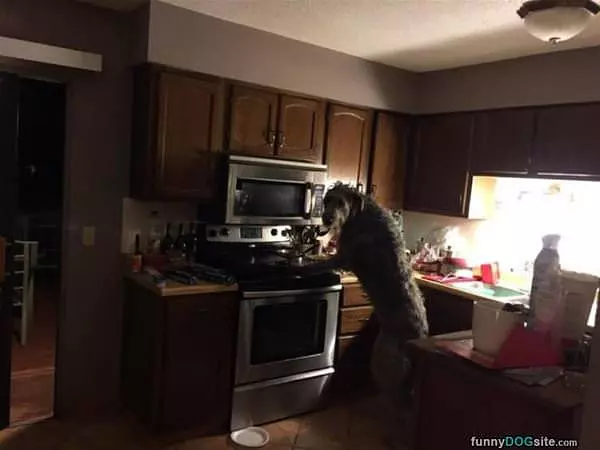 Making Us Some Breakfast