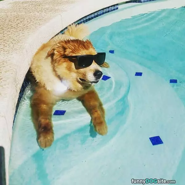 Chillin On A Hot Day