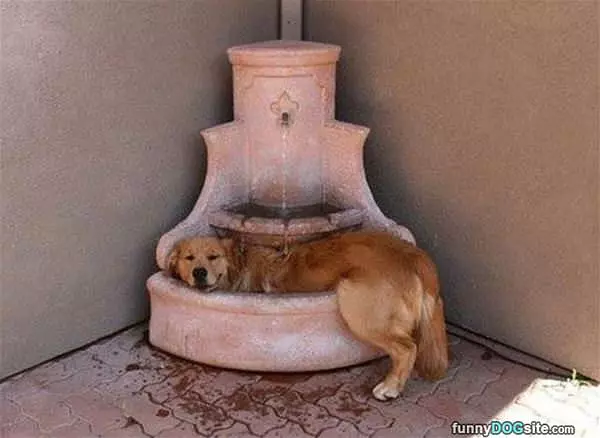 Cooling Off