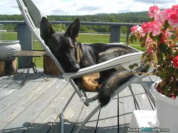 I Had A Long Day