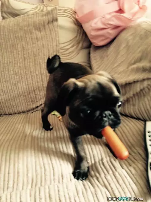 A Hots Dog