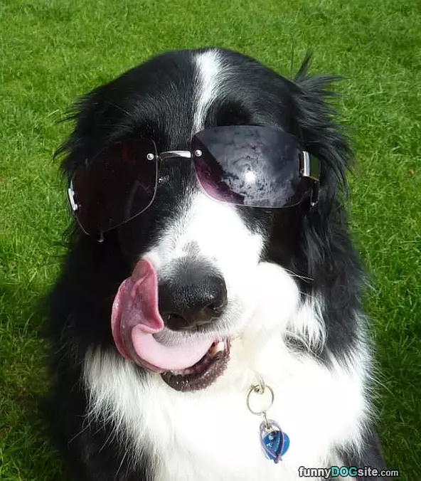 Very Cool Glasses