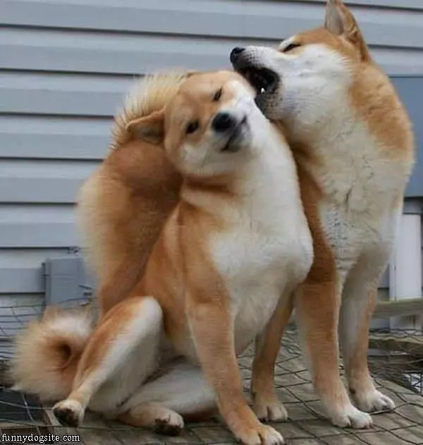 Stop Yelling In My Ear