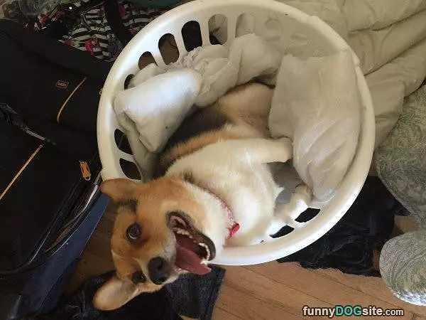Please Clean Me Next
