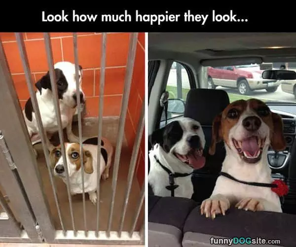 So Much Happier Now