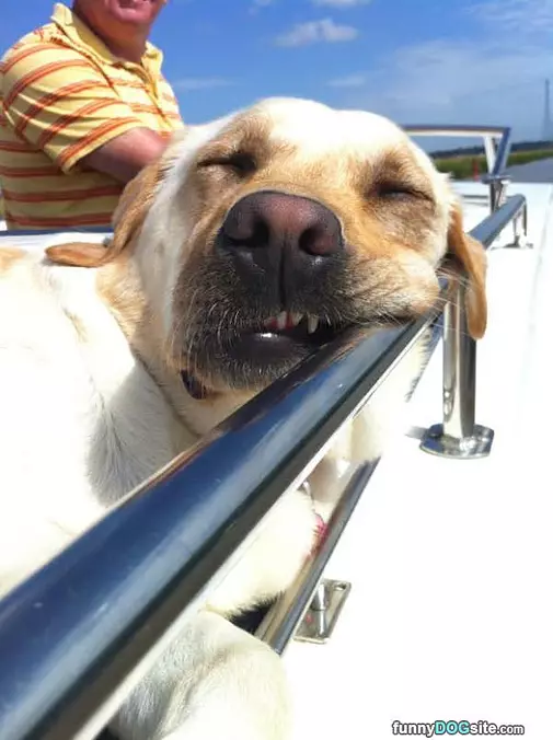 Just A Little Nap