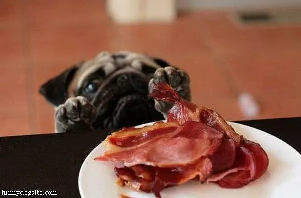 I Will Have One Of These