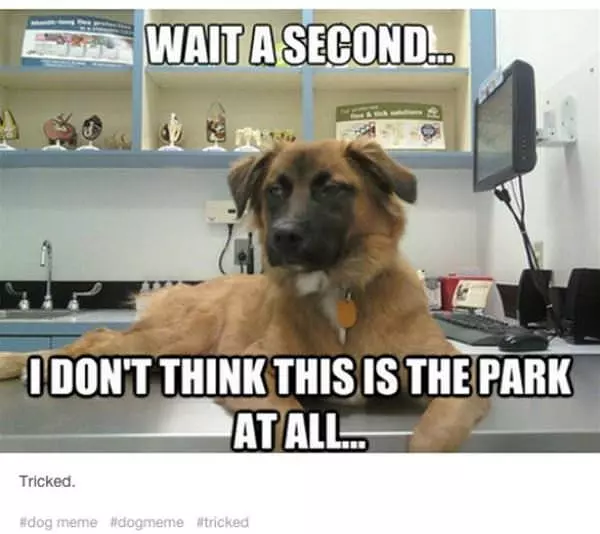 Wait A Second
