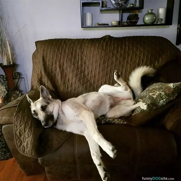 My Relaxed Pose