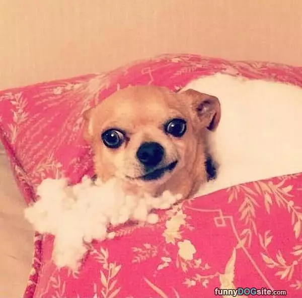 All-tucked-in-here