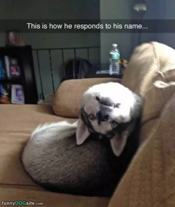 How He Responds To His Name