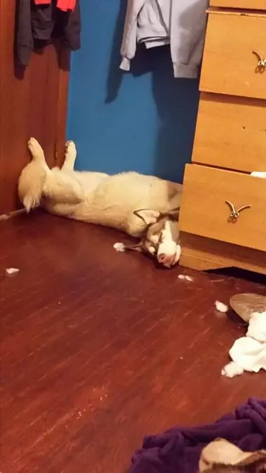 Where I Sleeps