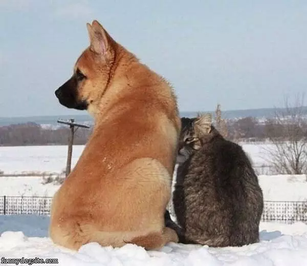 Hiding From The Wind