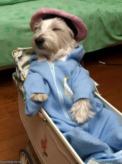 Ready For A Spot Of Tea
