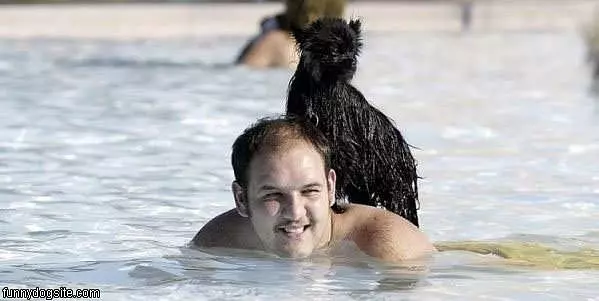 Goin Swimming