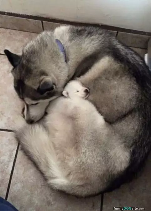 Me Being Curled Up