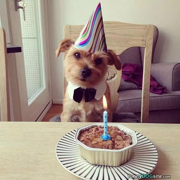Its My Day
