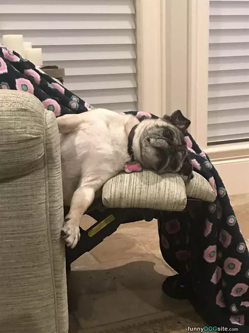 This Is A Good Place To Chill
