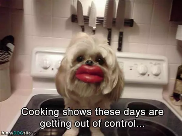 Cooking Shows Need Ratings