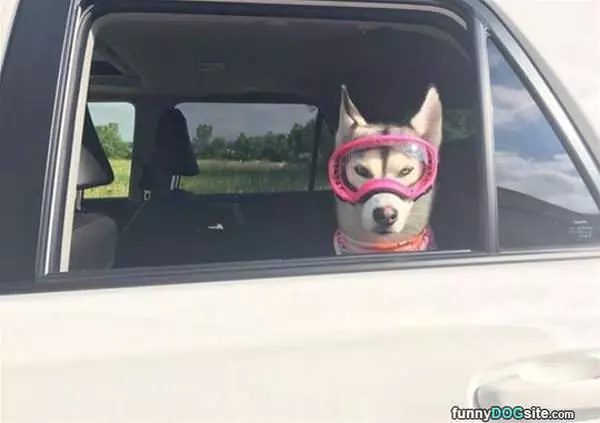Eye Protection