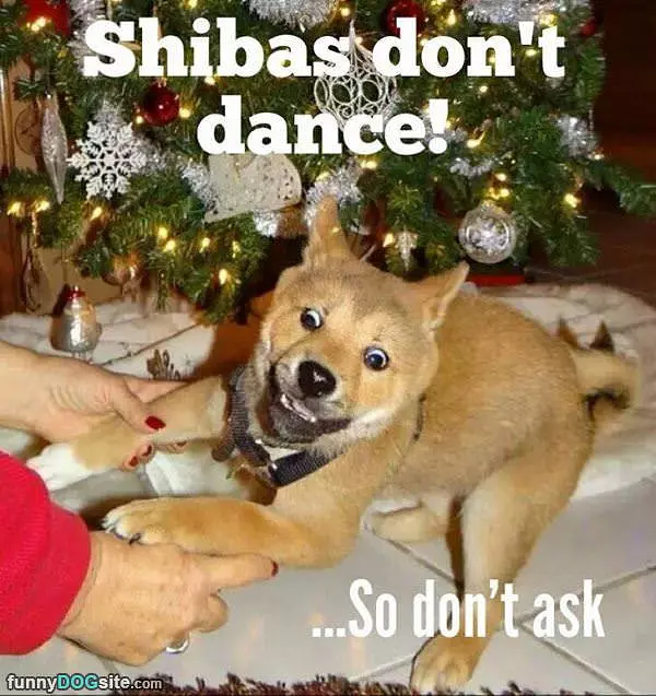 No Dancing