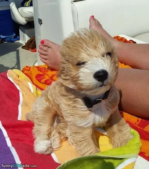 Windy Day