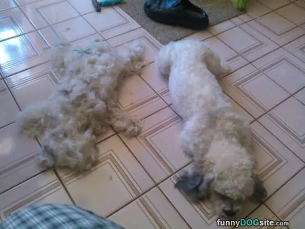 Just A Little Trim