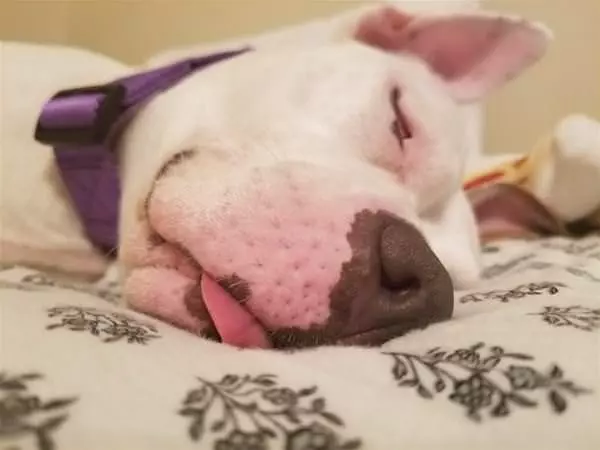 Passed Out