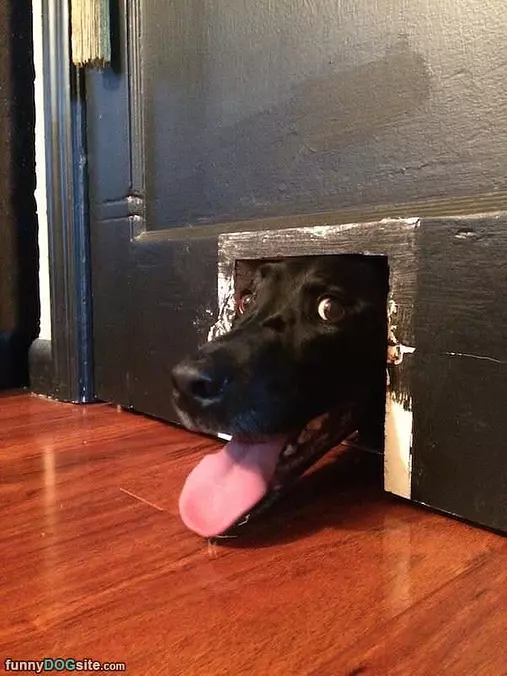 Hello