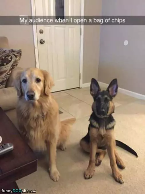 Open A Bag Of Chips