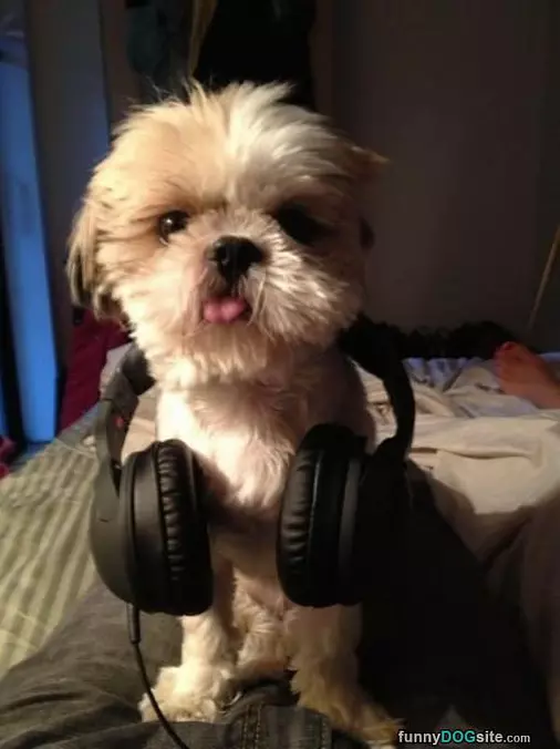 Dj Doggy