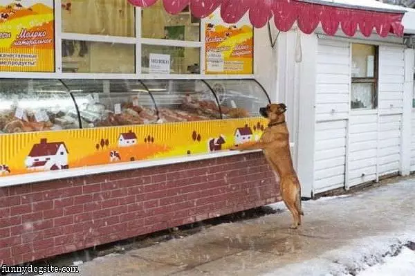 Any Meat Please