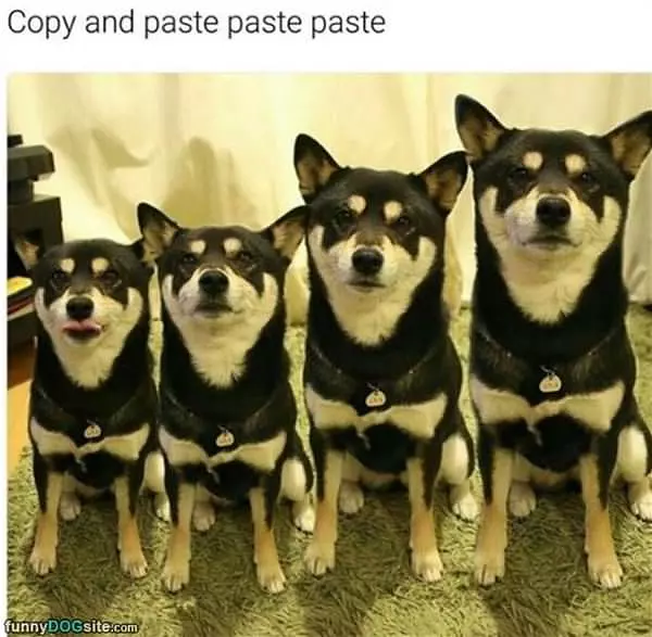 Copy Paste