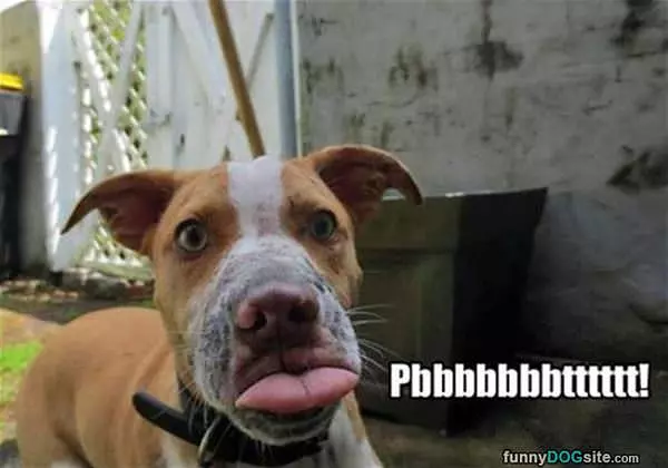 Pbbbbbbbbbbtttttttt