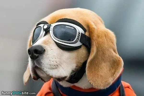 My Eye Safety