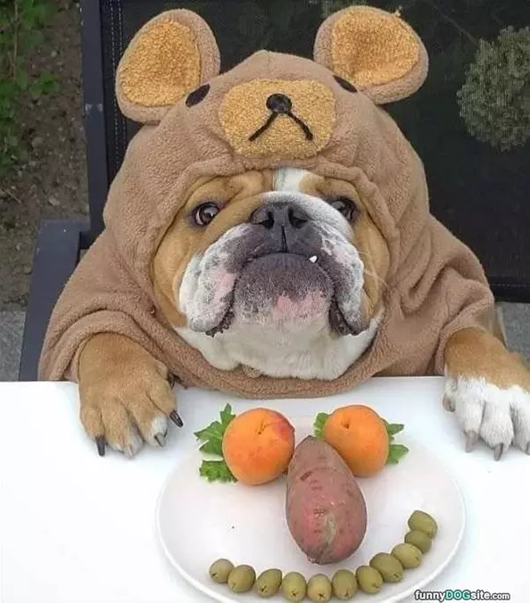 Here For My Snack