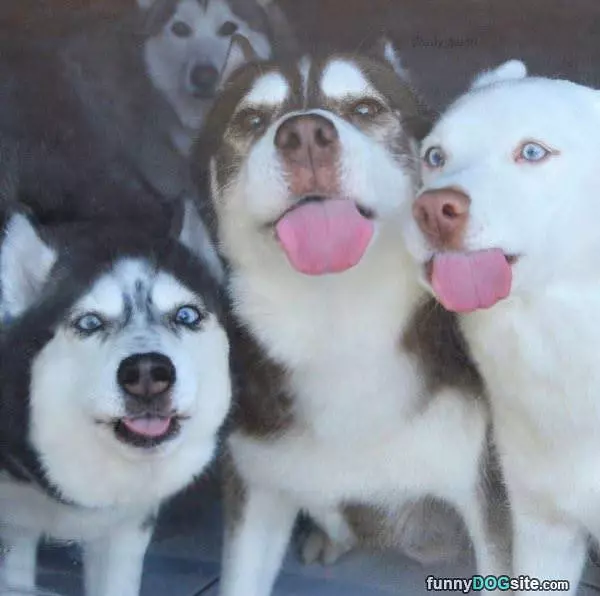 Tongues Out