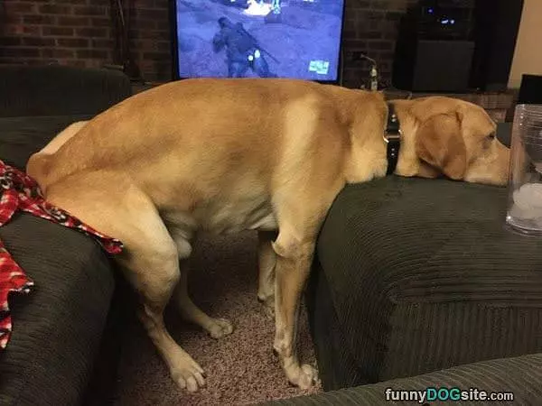 Just Relaxing Here