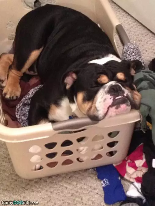 Laundry Day