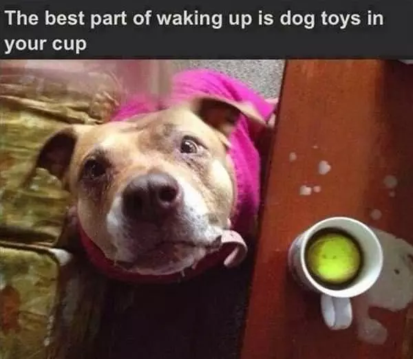 Best Part Of Waking Up