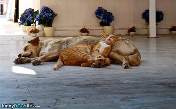 Besties