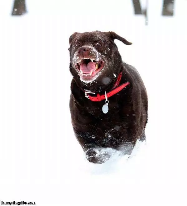 Loves Running