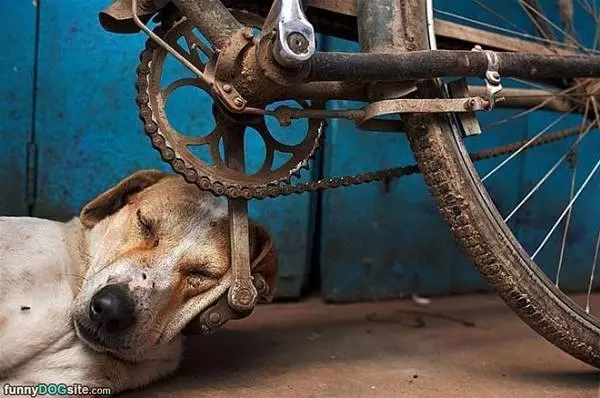 I Can Sleep Anywhere