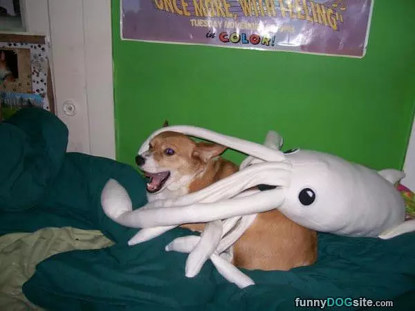 Arghhh Get It Off