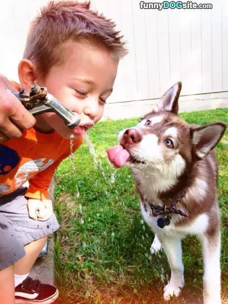 Sharing Some Water