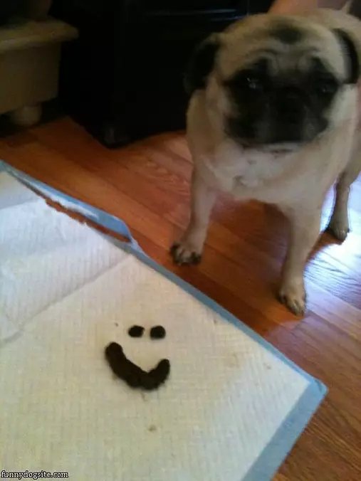 I Made A Smiley