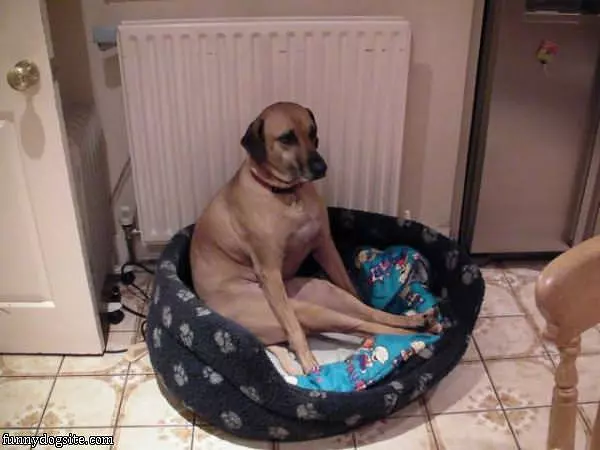 If I Fits I Sits