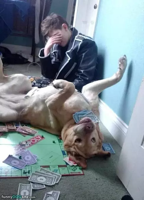Monopoly Is Over